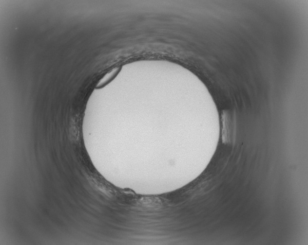 X0000082761491200702162011