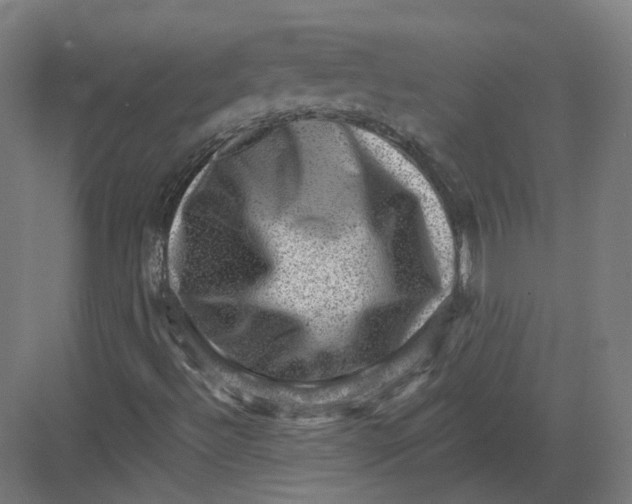 X0000082761492200702162011