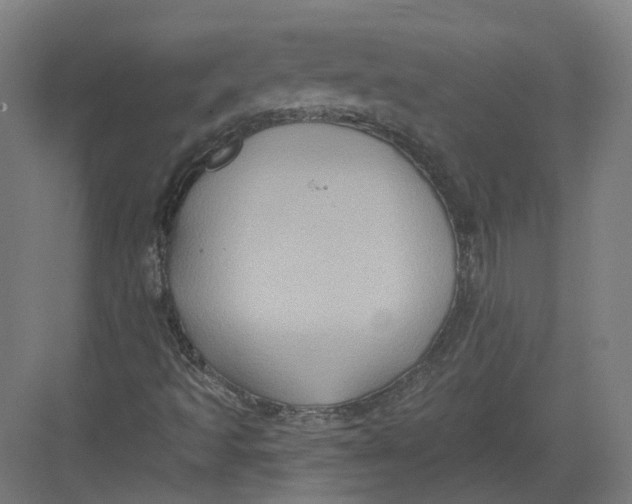 X0000082761493200702162011