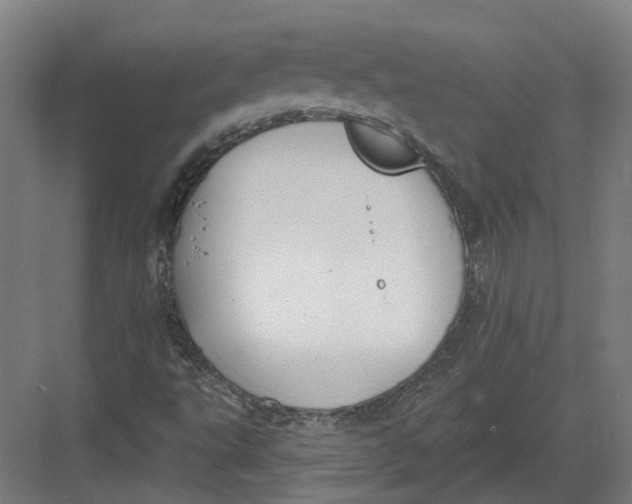 X0000082761495200702162012