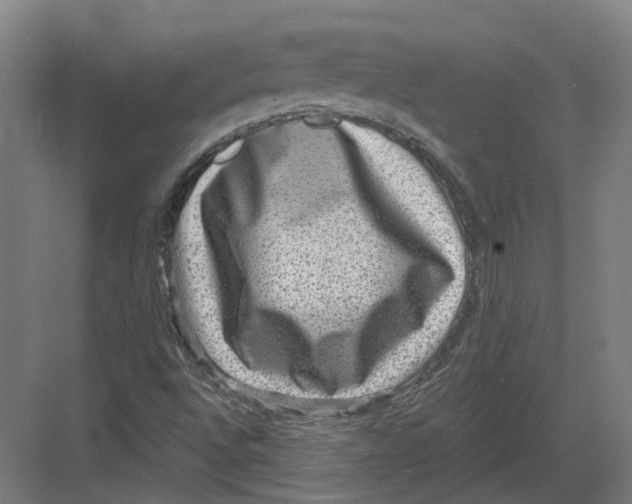 X0000082761496200702162012