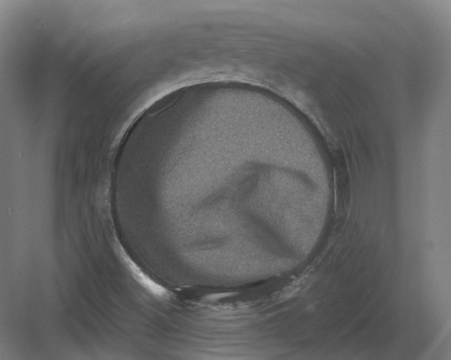 X0000082761500200702162012