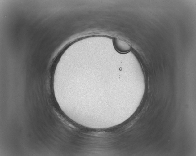 X0000082761502200702162012