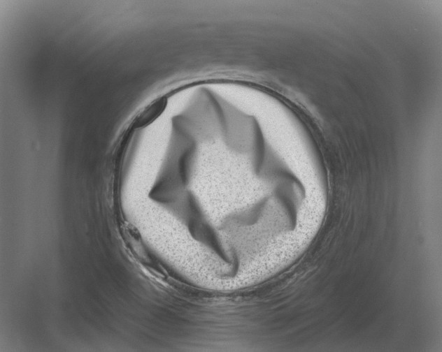 X0000082761504200702162012