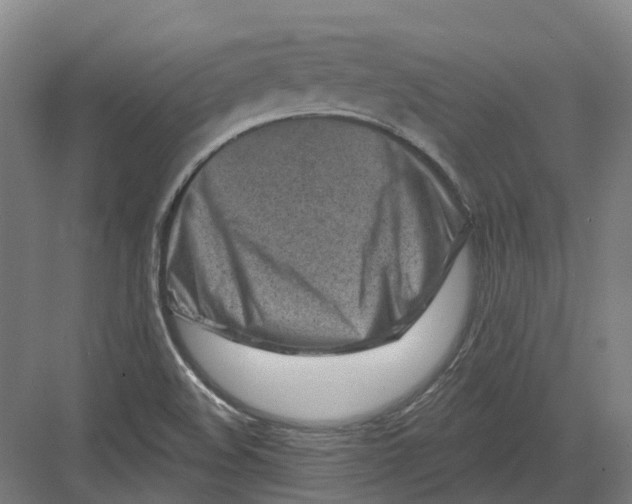 X0000082761508200702162012