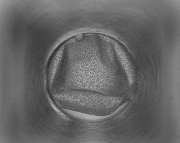 X0000082761511200702162012