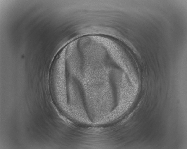 X0000082761513200702162012