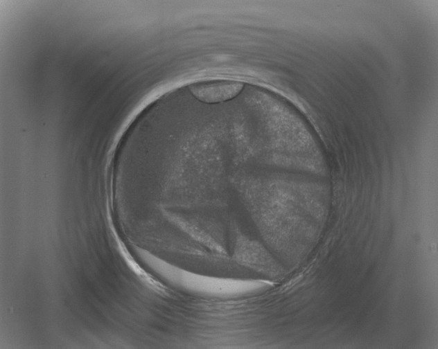 X0000082761515200702162012