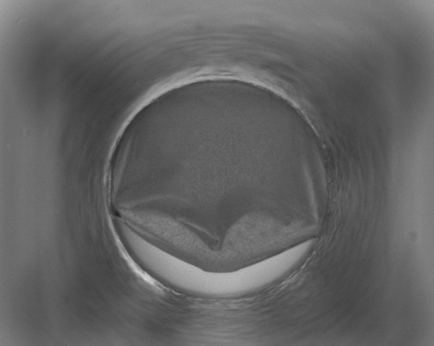 X0000082761519200702162012