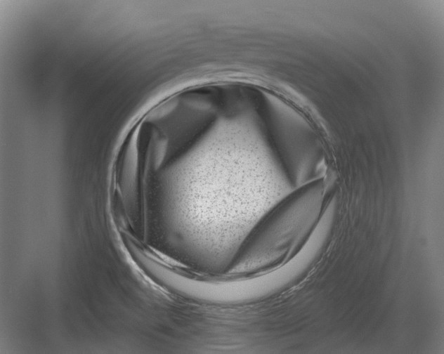 X0000082761520200702162012