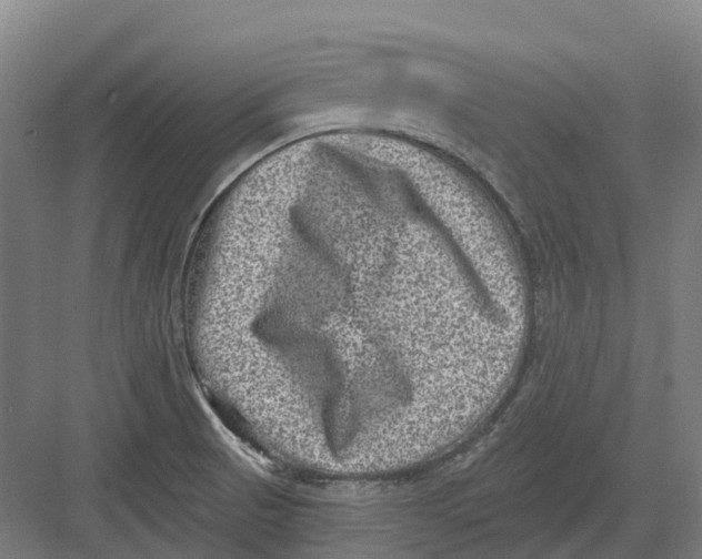 X0000082761521200702162012