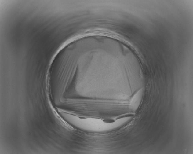 X0000082761522200702162012