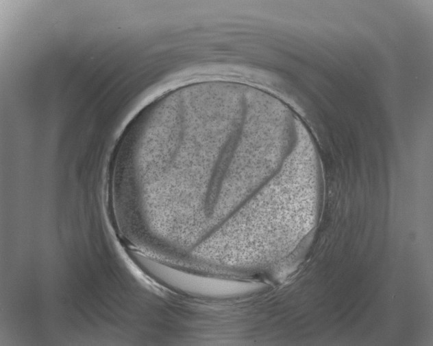 X0000082761523200702162012