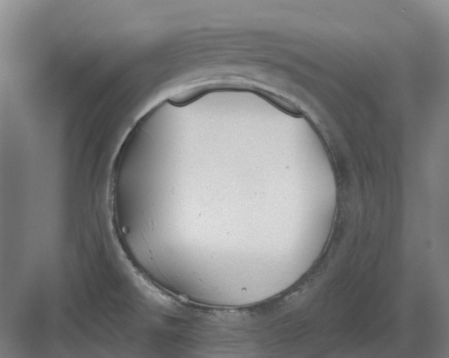 X0000082761526200702162012