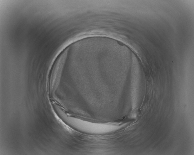 X0000082761527200702162012