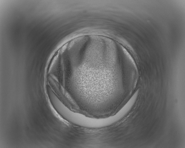 X0000082761528200702162012