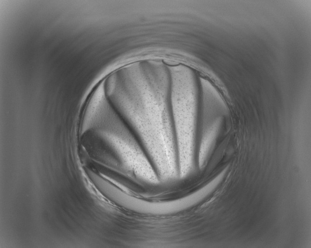 X0000082761530200702162012