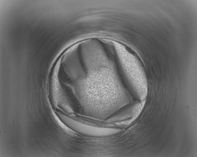 X0000082761531200702162012