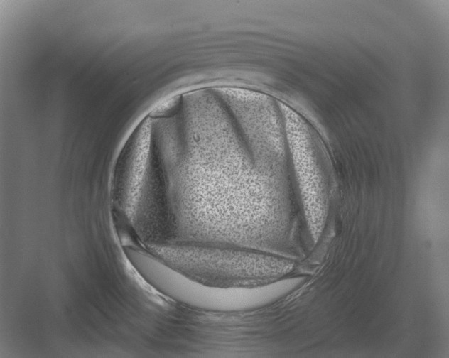 X0000082761532200702162012