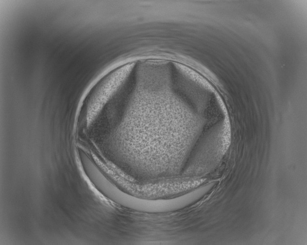 X0000082761536200702162012