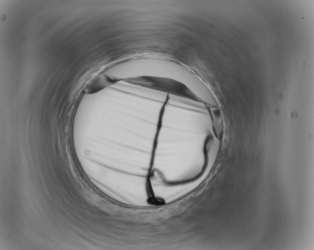 X0000082760001200702240116