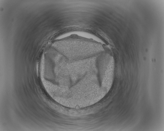 X0000082760022200702240116