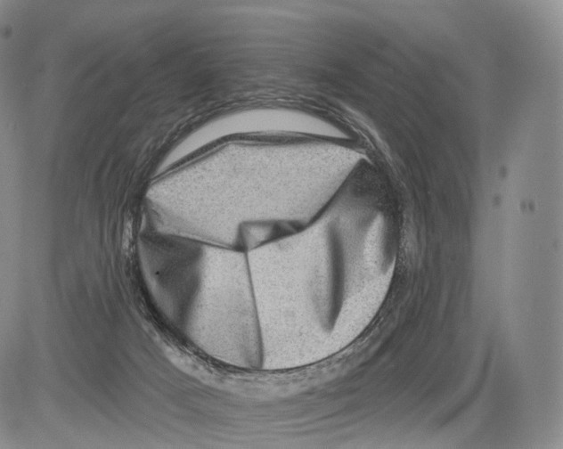 X0000082760025200702240116