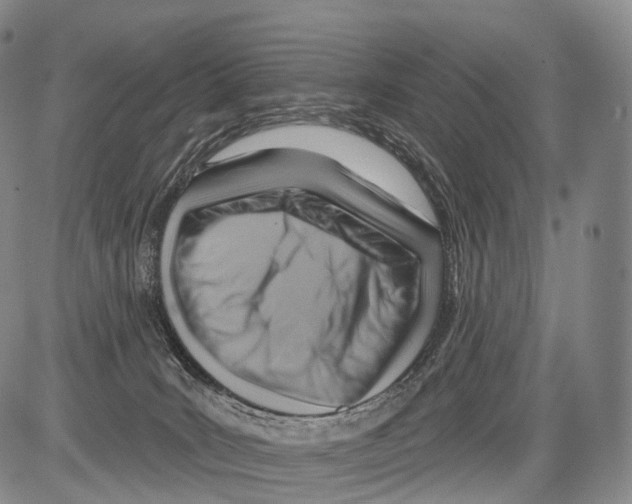 X0000082760035200702240116