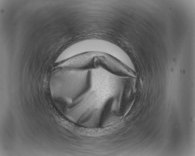 X0000082760037200702240116