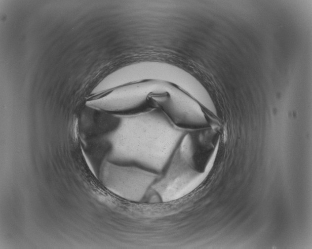 X0000082760041200702240116