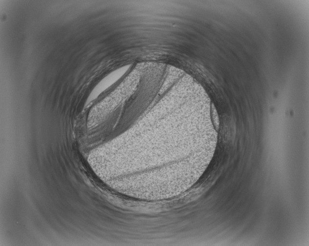 X0000082760044200702240116