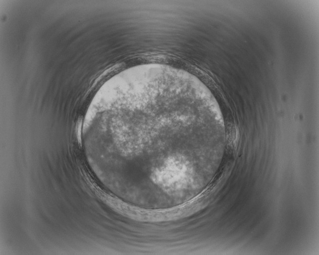 X0000082760047200702240116