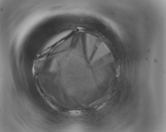 X0000082760052200702240115