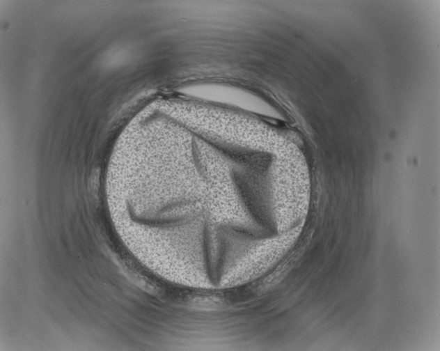 X0000082760066200702240115