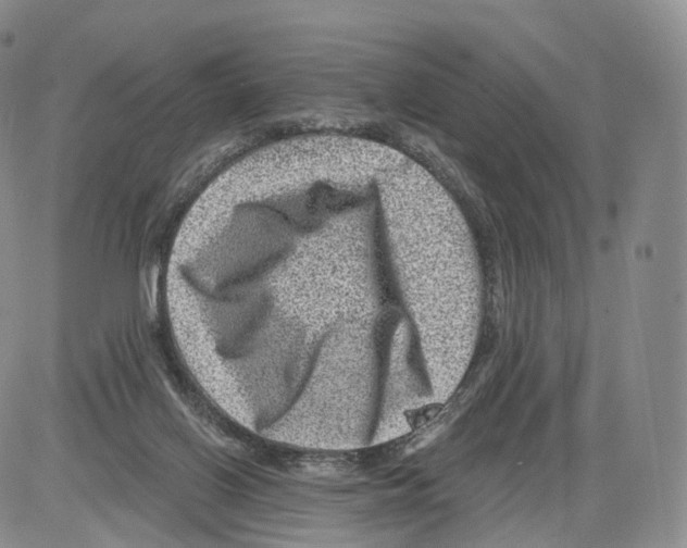 X0000082760070200702240115