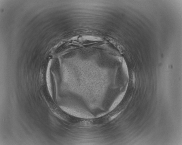 X0000082760080200702240115