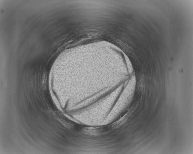 X0000082760082200702240115