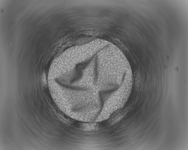 X0000082760089200702240115
