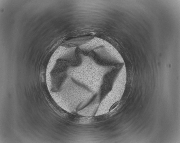 X0000082760090200702240115