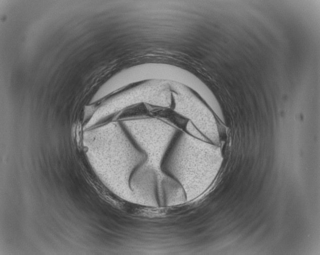 X0000082760094200702240115