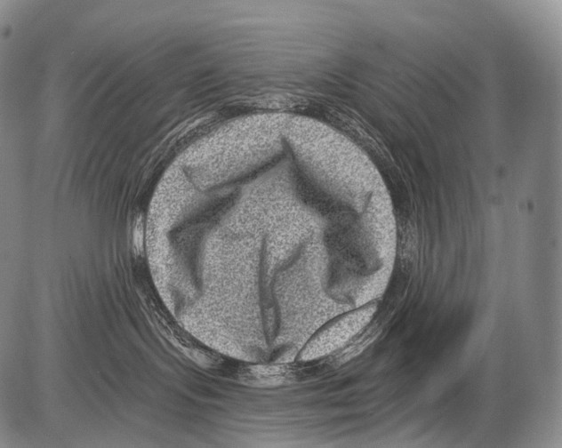 X0000082760095200702240116