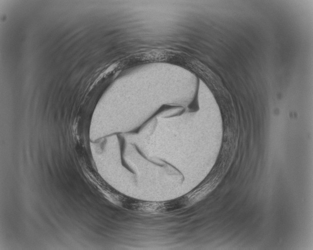 X0000082760096200702240116