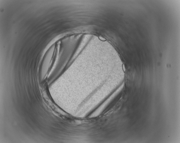 X0000082760100200702240115
