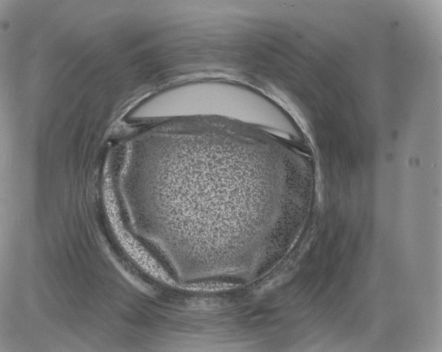 X0000082760105200702240115