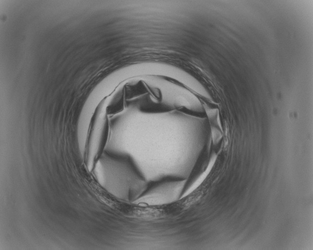 X0000082760125200702240114