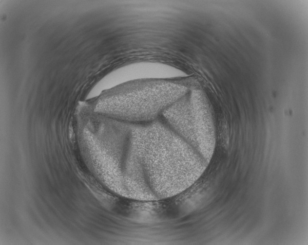 X0000082760131200702240114