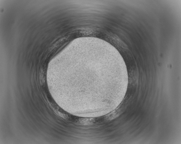 X0000082760136200702240114