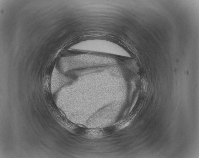 X0000082760141200702240114