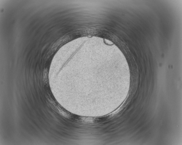 X0000082760144200702240114