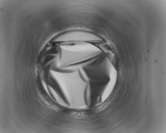 X0000082760160200702240113